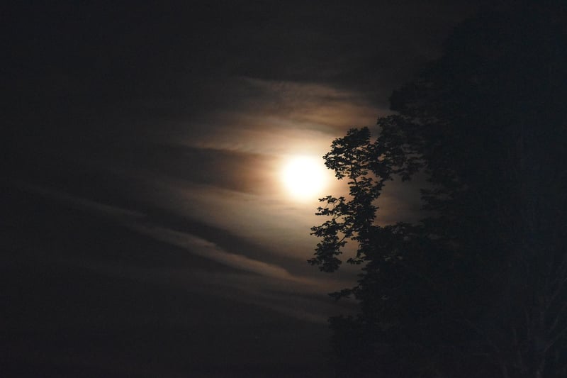 Moonlit Ceremonies