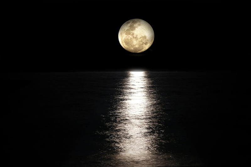 Moonlit Ceremony